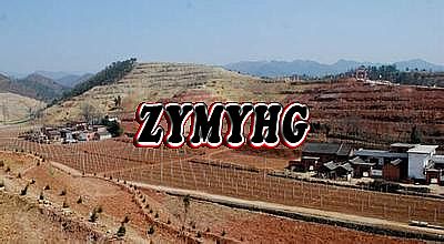 安卓传奇单机破解版
