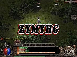 盛大传奇世界手机版