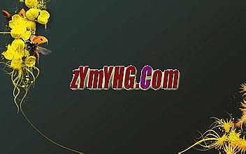 新白娘子传奇09