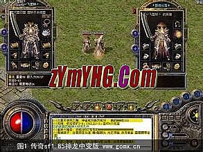 ʢ����Ѫ�����ֻ���