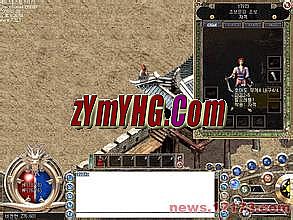 ������ְҵ����˽��