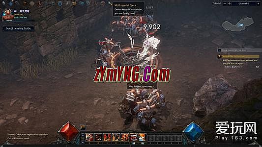 ���θ�����Ѫ����