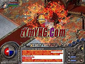 176���Ŵ�����ʲô����