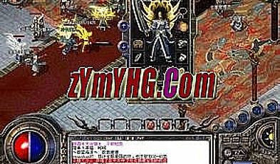 假人陪玩简单分析道士魔法盾