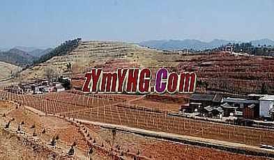 建立城邦的祖玛卫士继续道提升